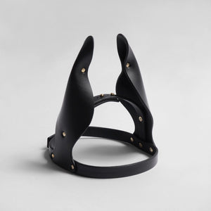 fleet ilya animal ears