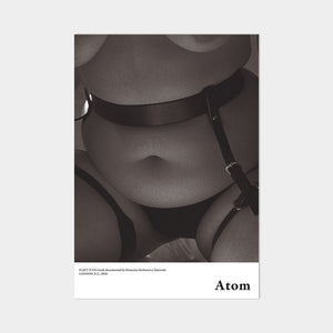ATOM & POSTER | Books | Fleet Ilya