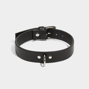 fleet ilya d-ring collar