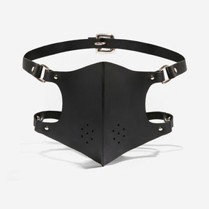 face mask fleet ilya