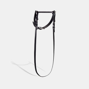 gag and reins fleet ilya