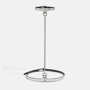 SLIM CHAIN COLLAR & BELT