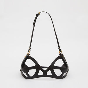 target bra fleet ilya