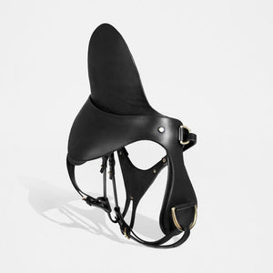 leather saddle and reins fleet ilya