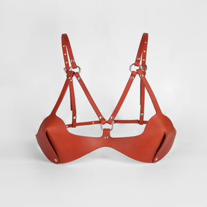 web bra red fleet ilya