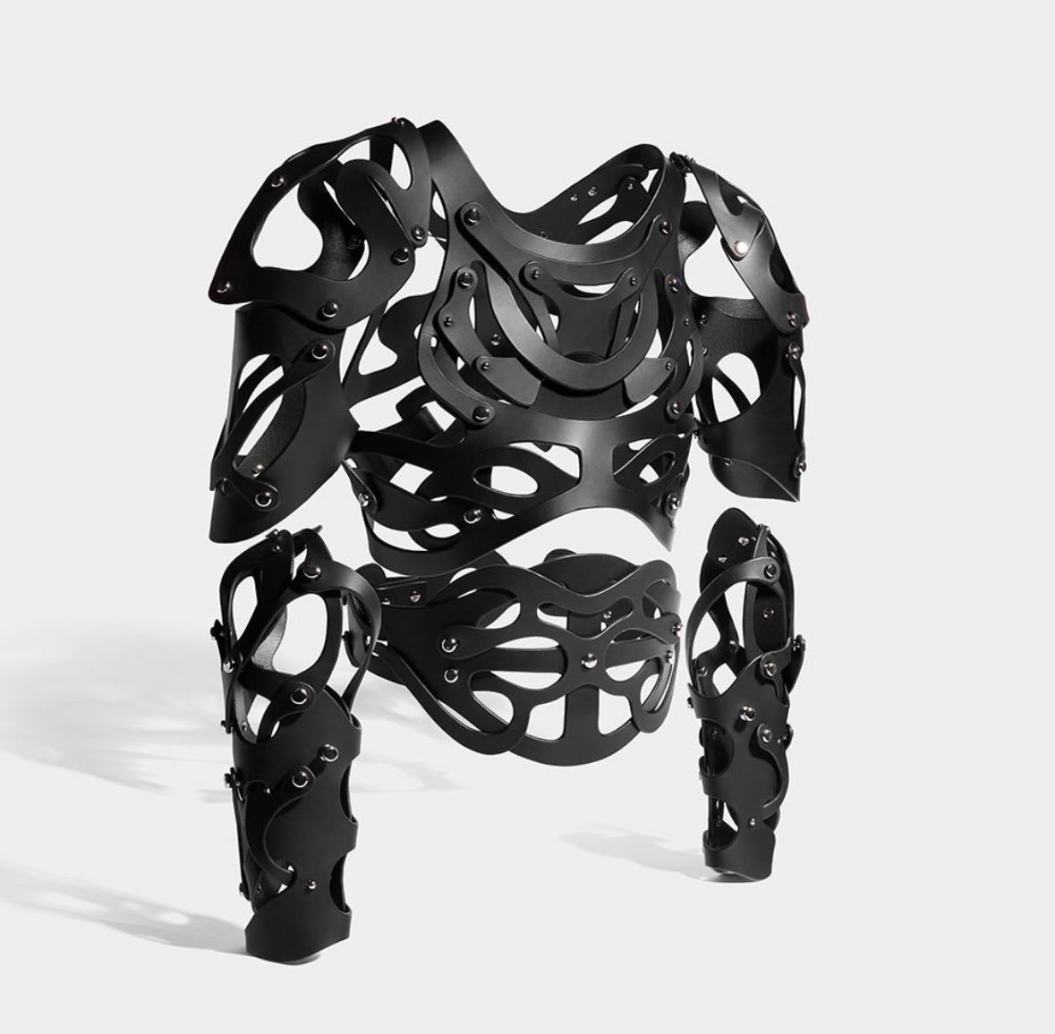 CARAPACE HARNESS