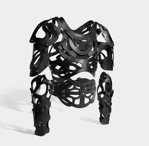 CARAPACE HARNESS