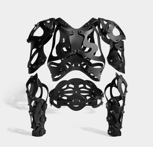 CARAPACE HARNESS