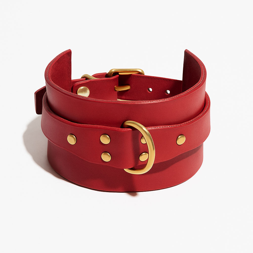 RED CLASSIC COLLAR