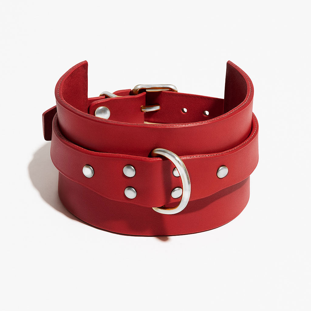 RED CLASSIC COLLAR