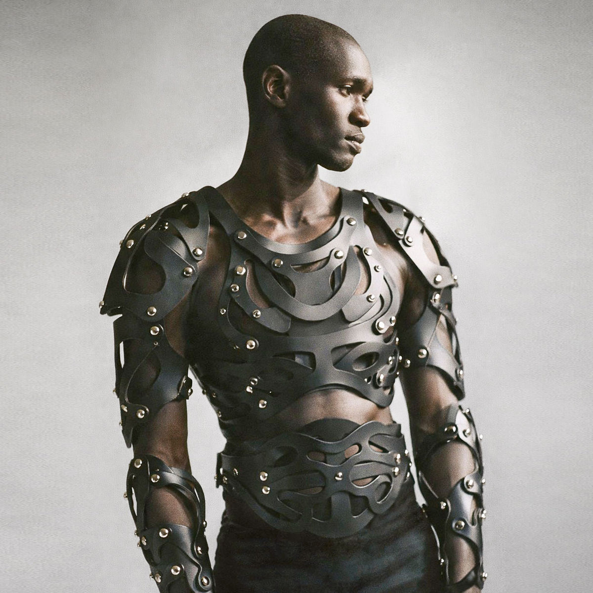 CARAPACE HARNESS