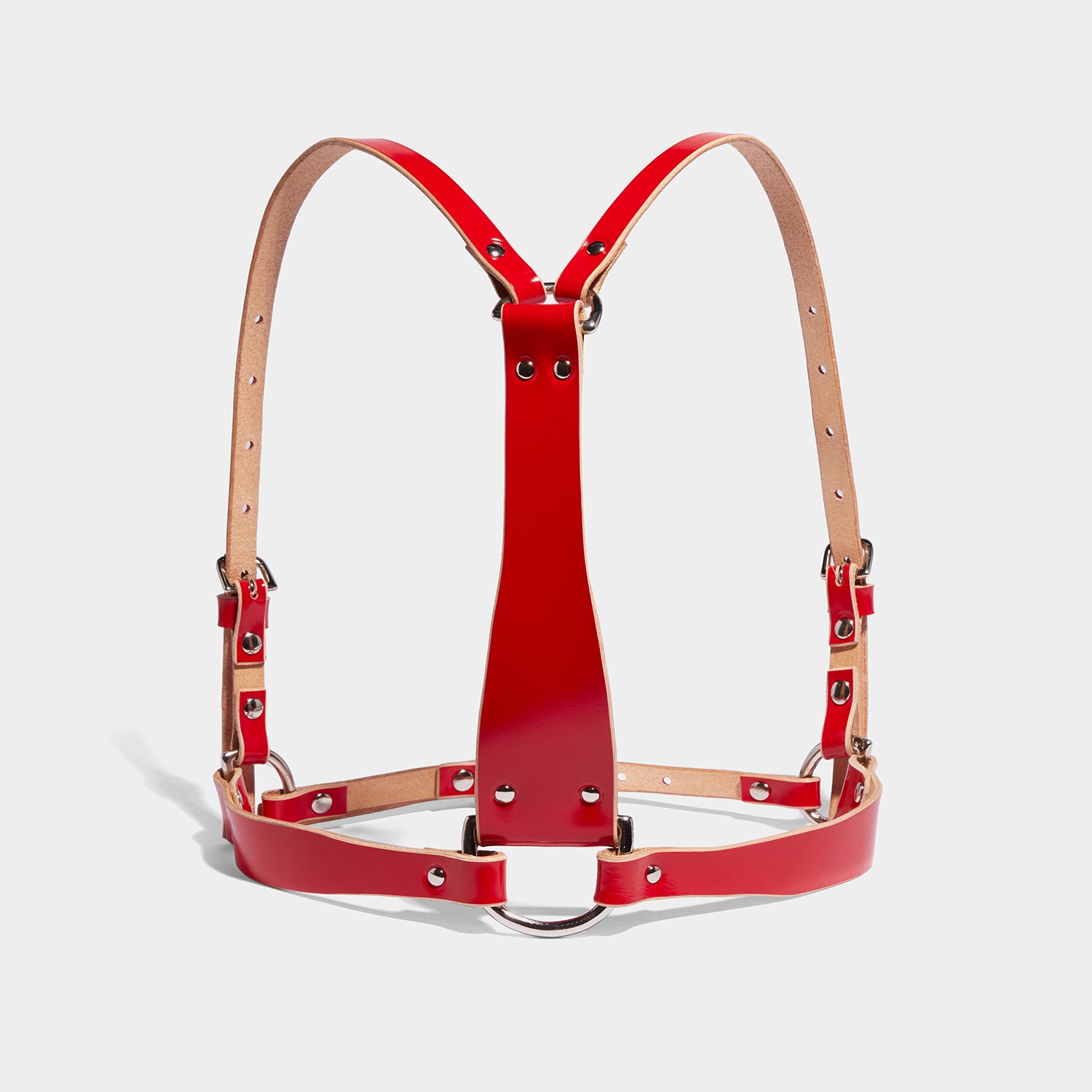 fleet ilya d ring harness gloss red