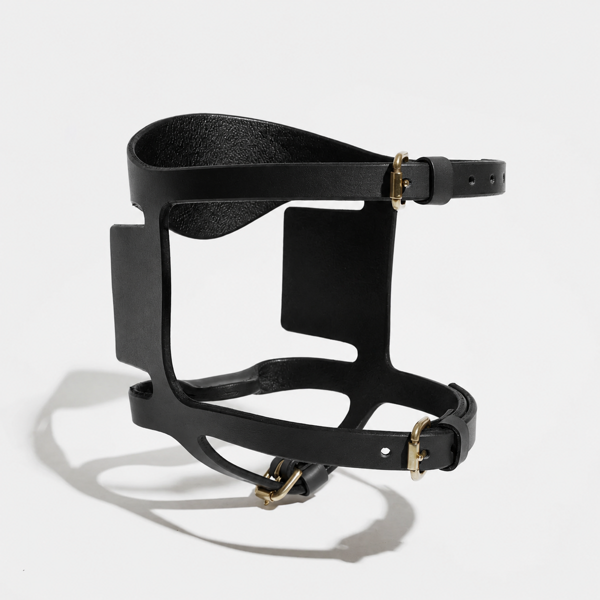 BLINKER & GAG MASK