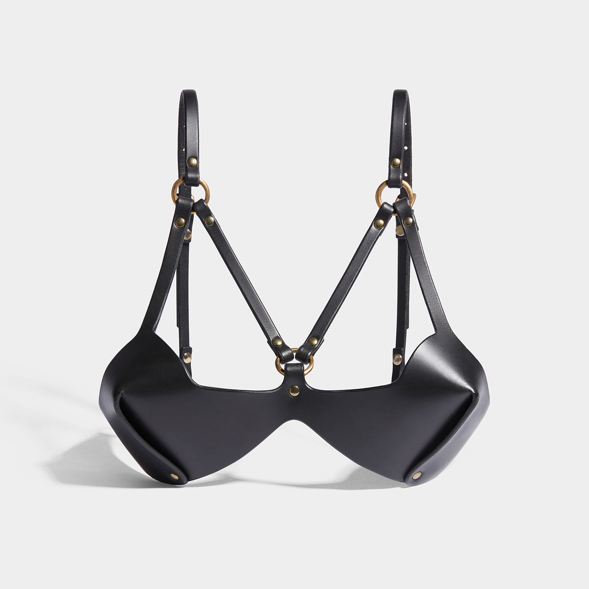 web bra fleet ilya