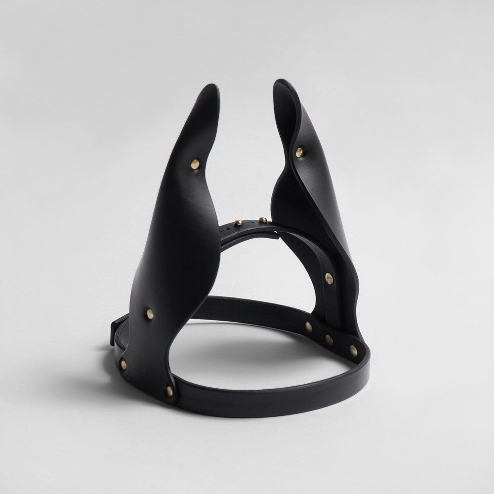 fleet ilya animal ears