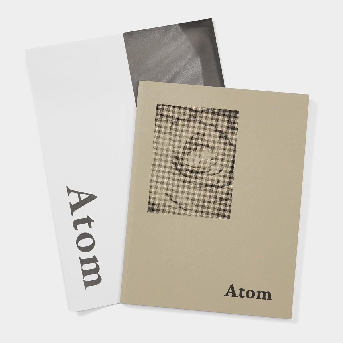ATOM &amp; POSTER | Books | Fleet Ilya