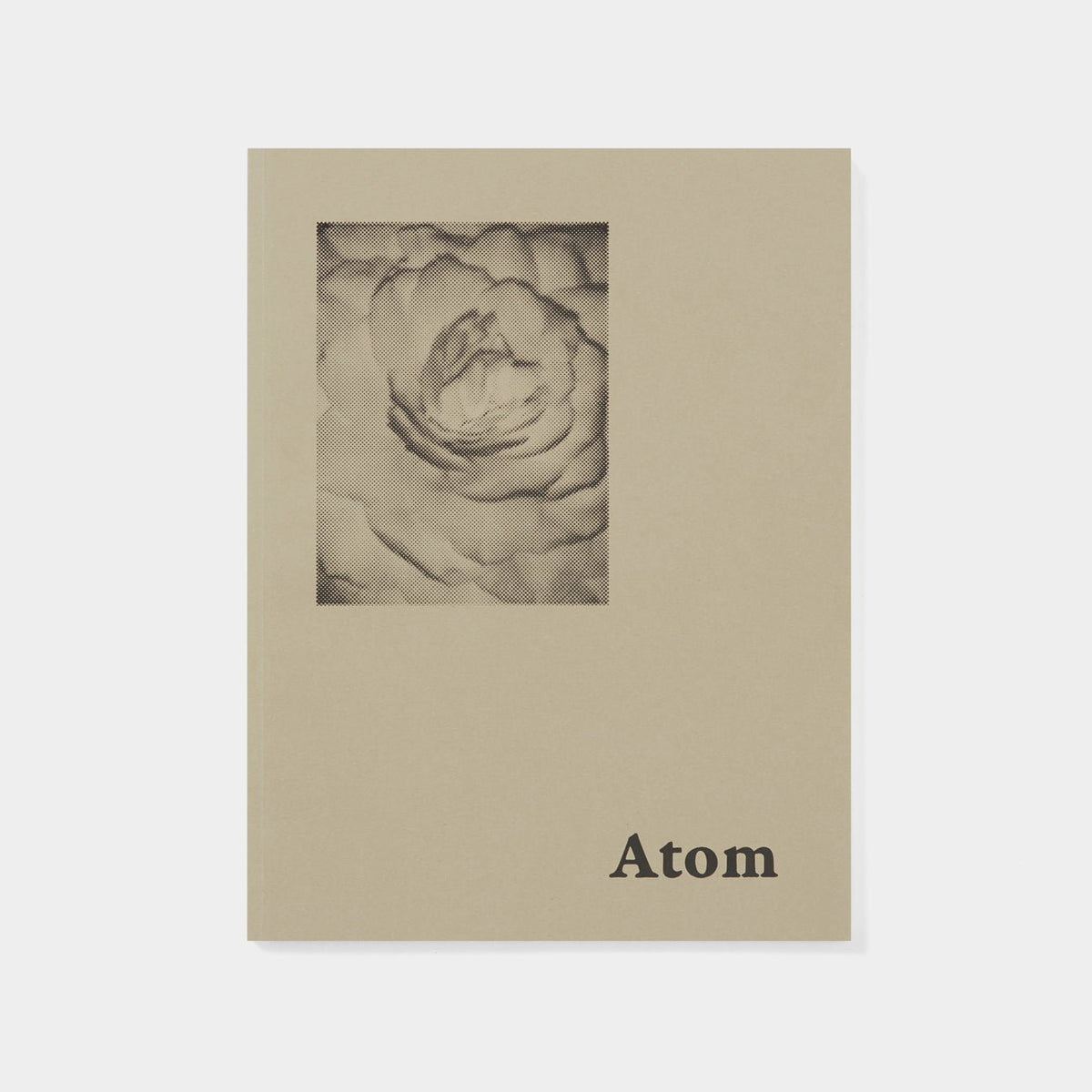 ATOM & POSTER | Books | Fleet Ilya