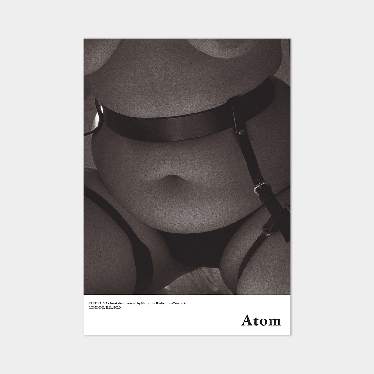 ATOM & POSTER | Books | Fleet Ilya