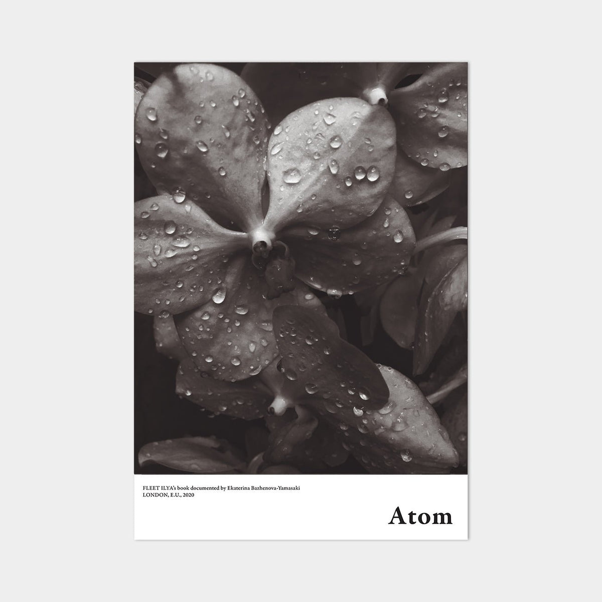 ATOM POSTER ORCHIDS | Posters, Prints, & Visual Artwork | Fleet Ilya