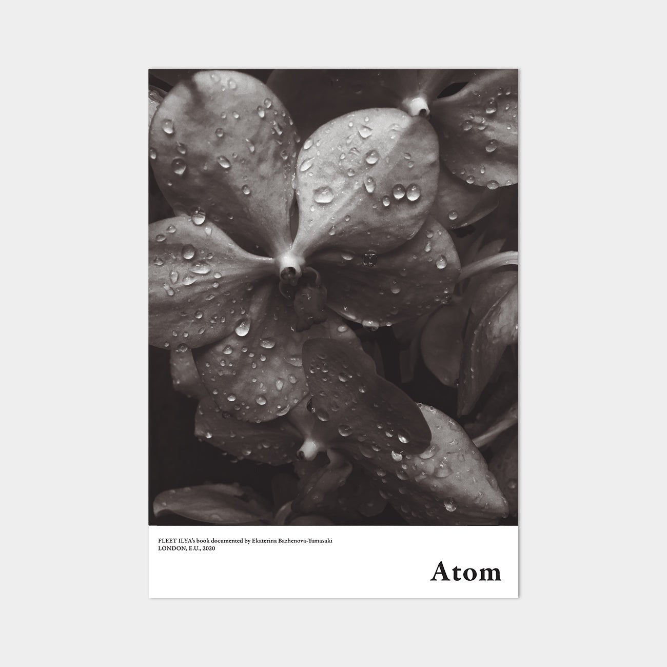 ATOM POSTER ORCHIDS | Posters, Prints, & Visual Artwork | Fleet Ilya