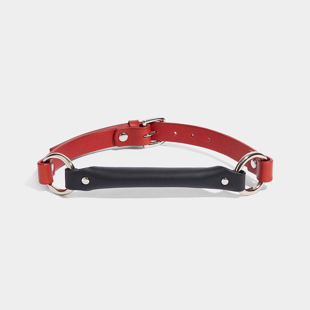 BIT GAG BLACK & RED | Restraint Accessories | Fleet Ilya