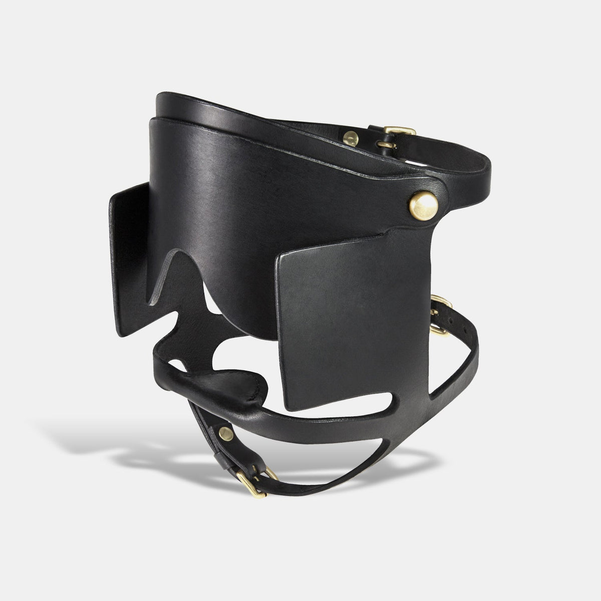 fleet ilya blinker gag and eye mask