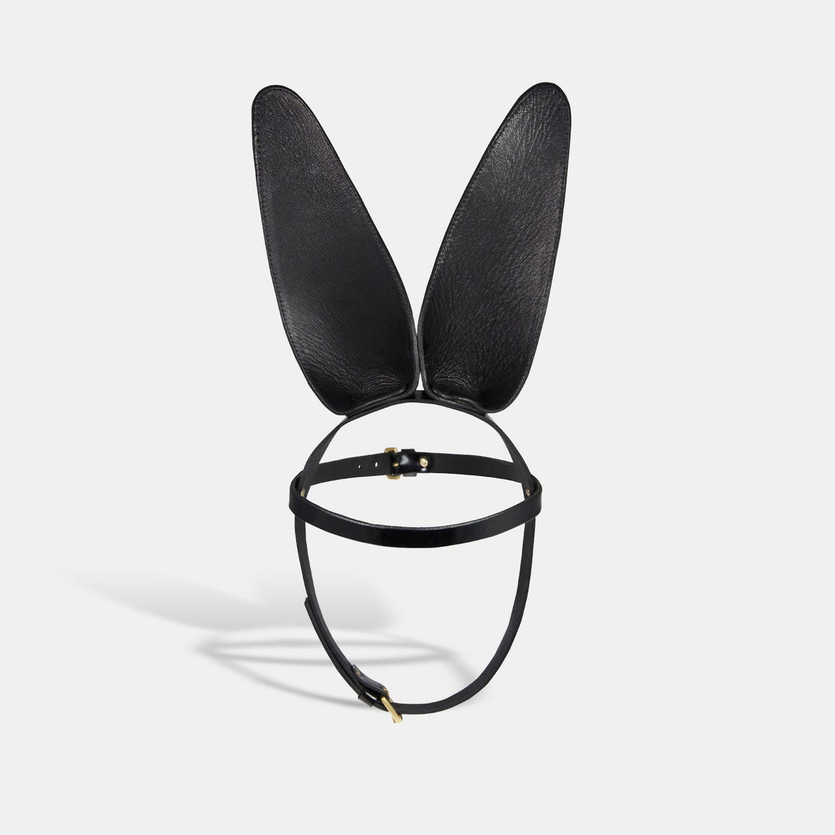 fleet ilya bunny ears