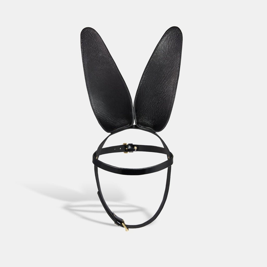 Bunny Ears | Fleet Ilya