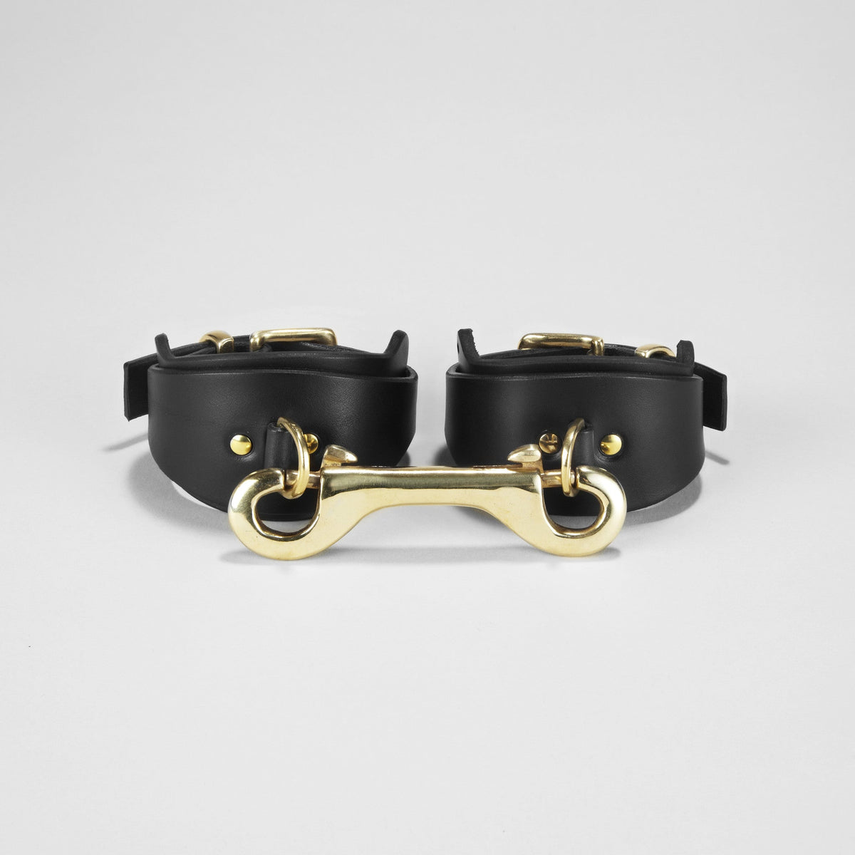 CUSHION AND GAG | Restraint Accessories | Fleet Ilya