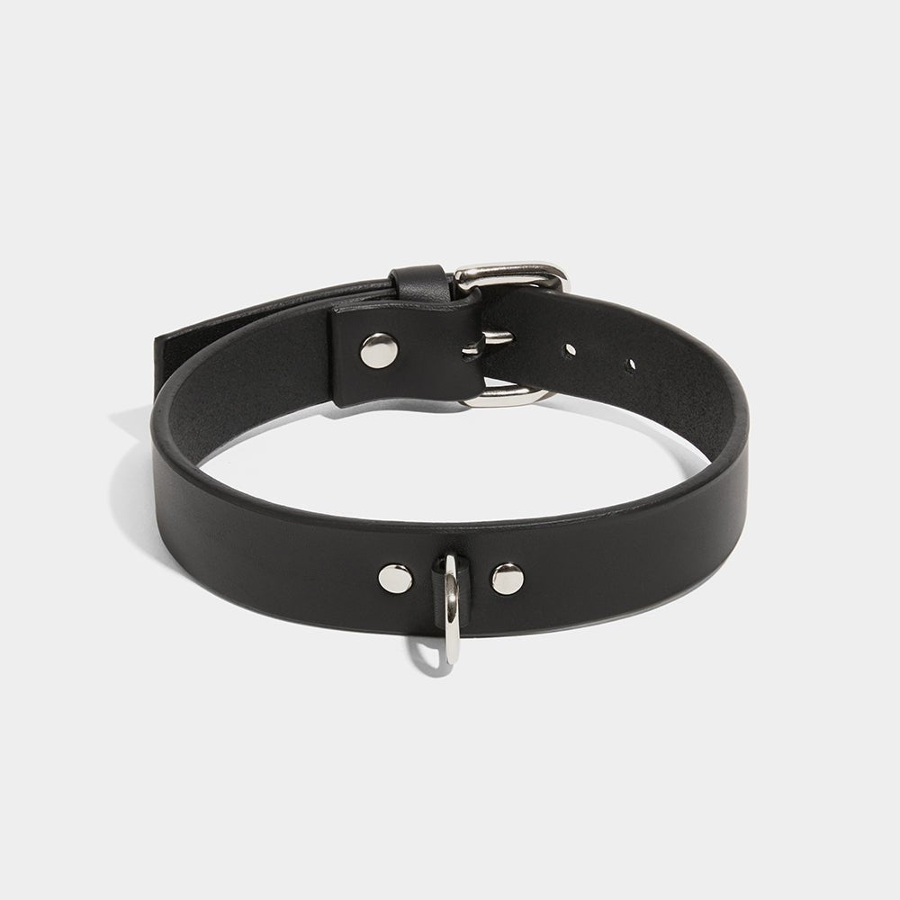 fleet ilya d-ring collar