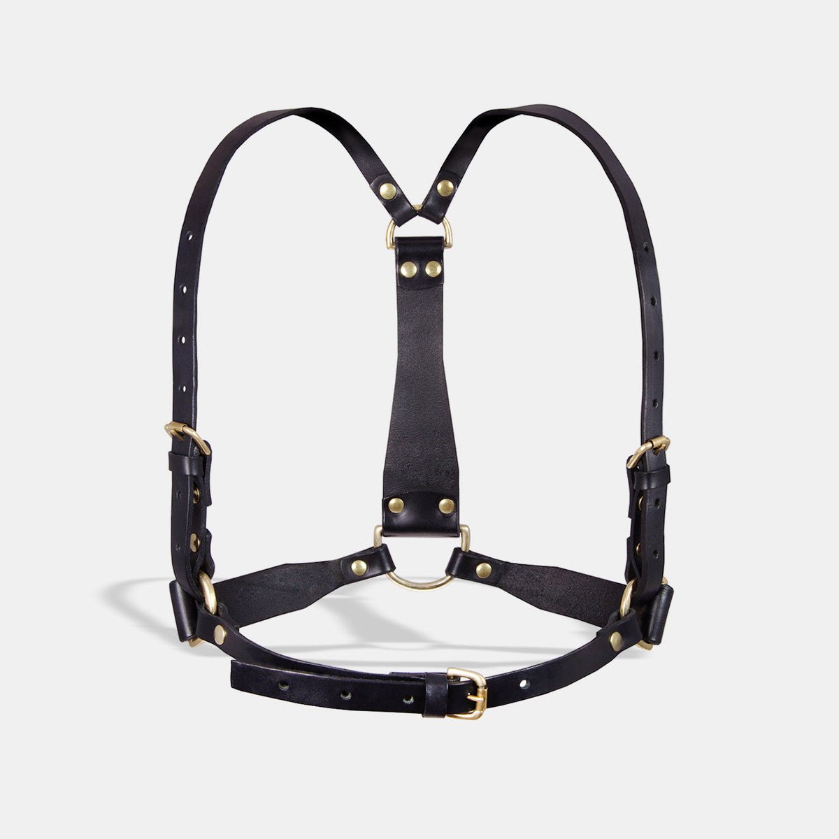 fleet ilya d-ring mens harness