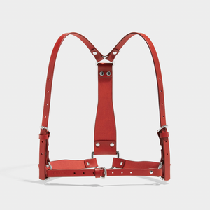 D-RING HARNESS