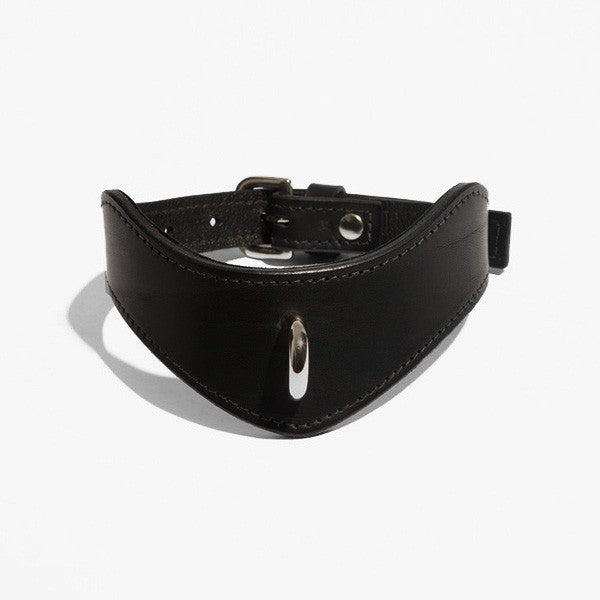 fleet ilya d-spike collar
