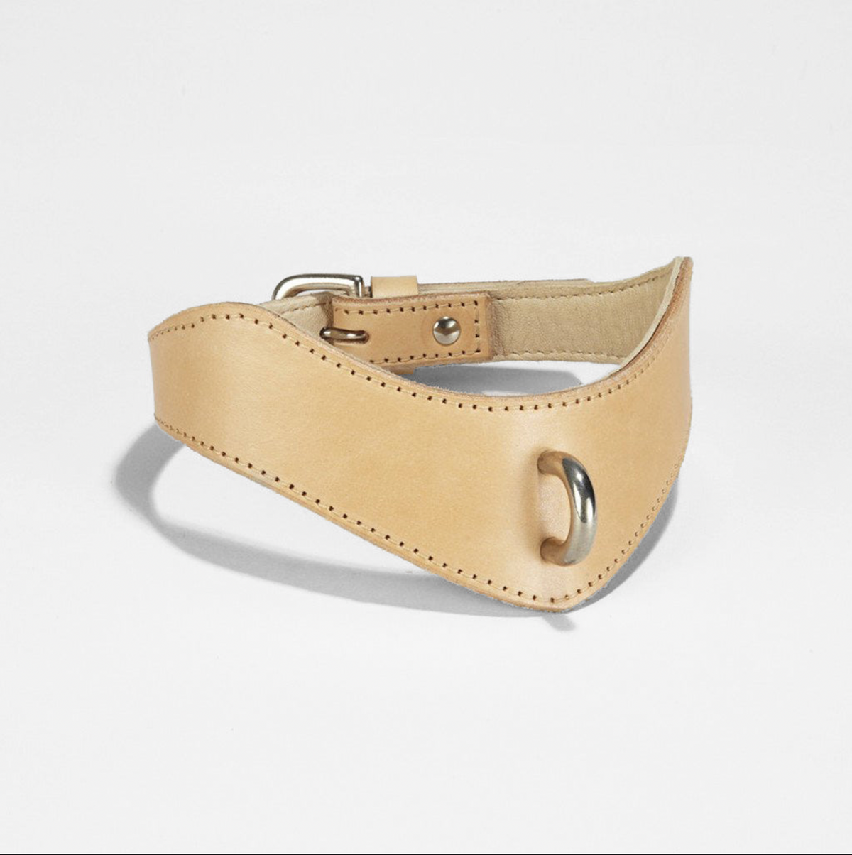 MEN'S D-SPIKE COLLAR