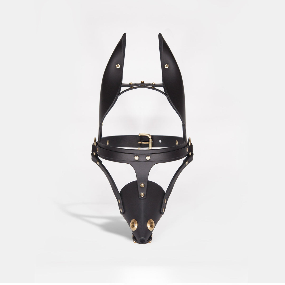 fleet ilya dog mask