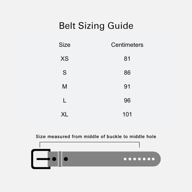 Double D-ring Belt