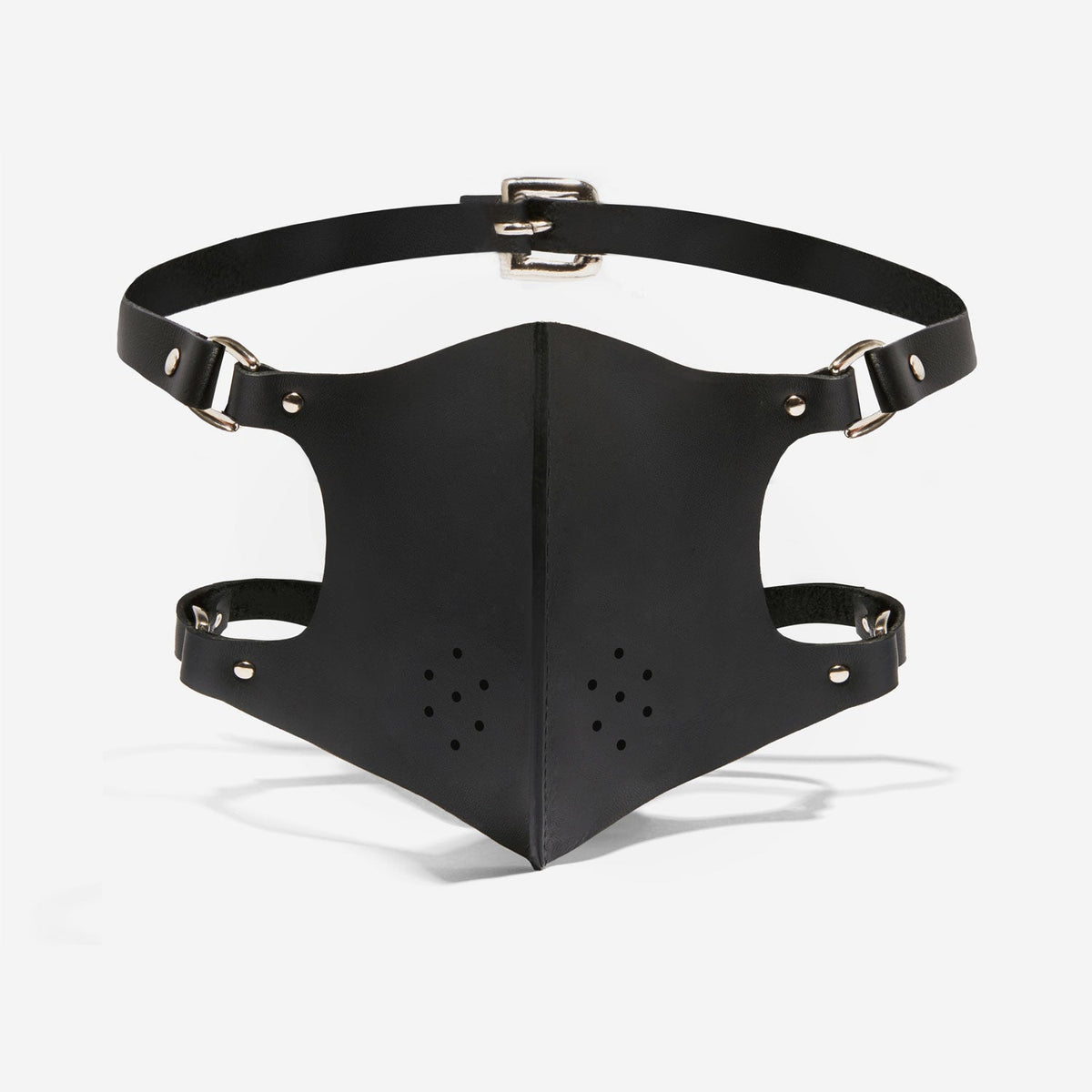 face mask fleet ilya