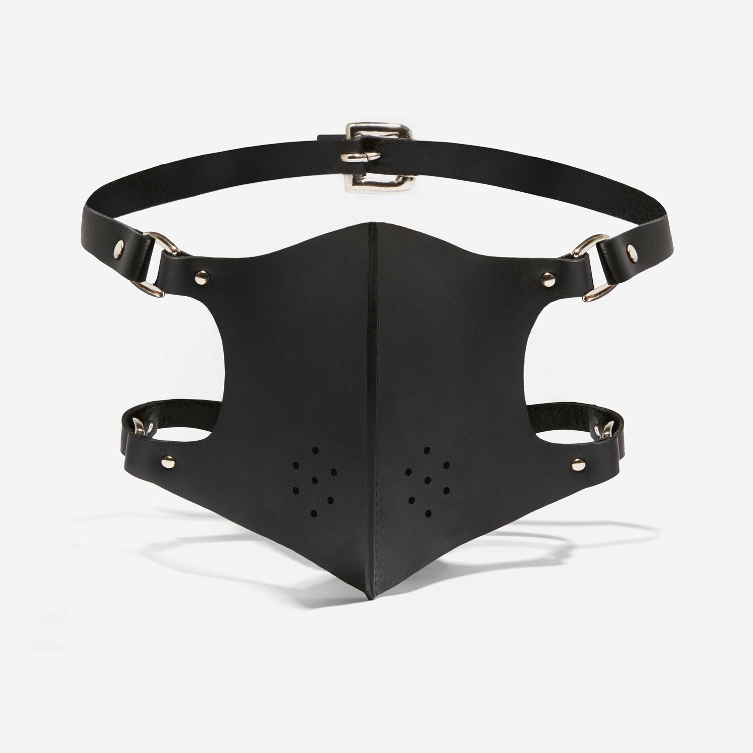 face mask fleet ilya