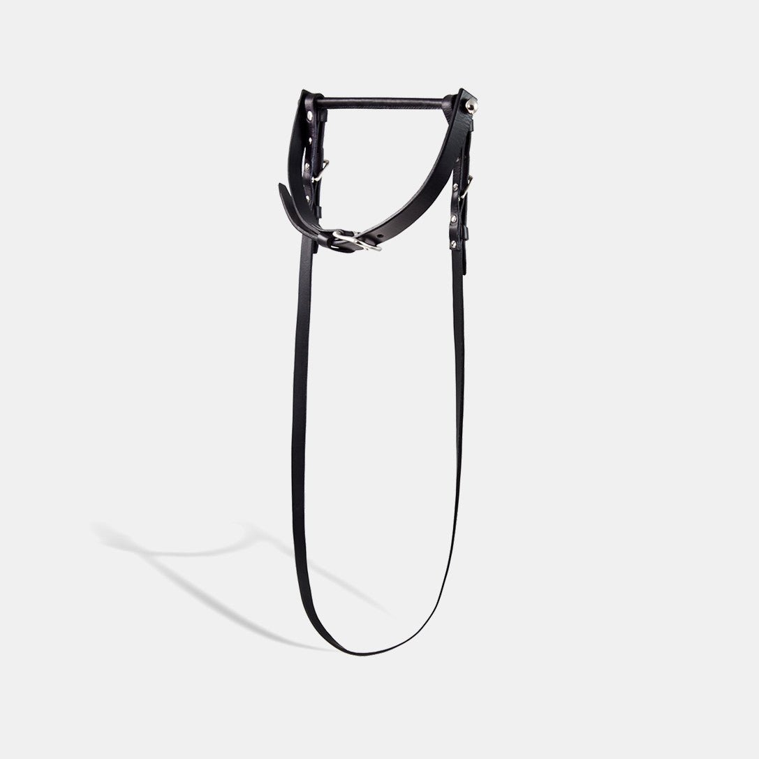 gag and reins fleet ilya