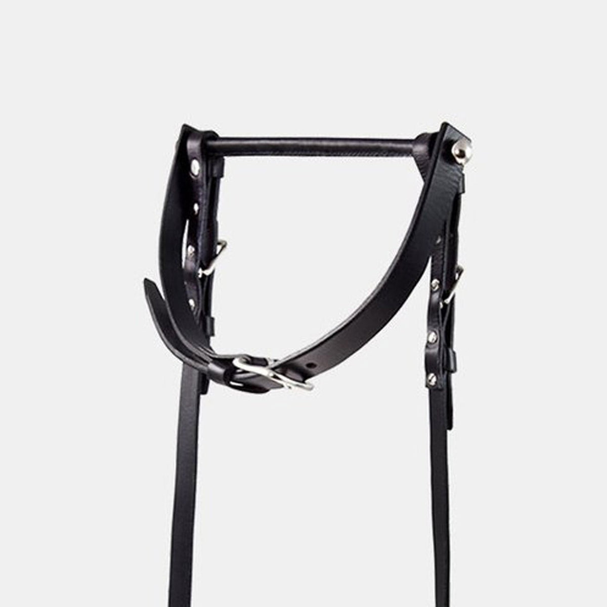 GAG & REINS | Restraint Accessories | Fleet Ilya