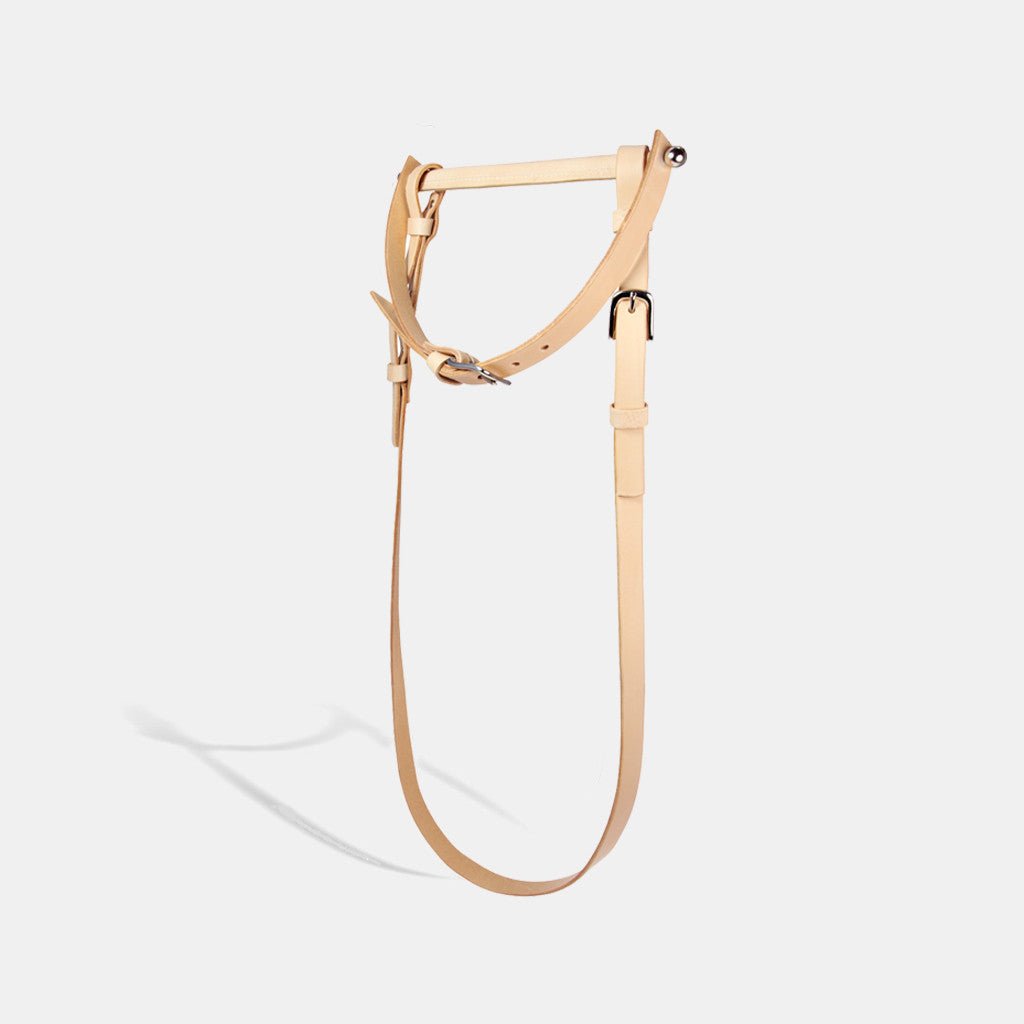 gag and reins natural fleet ilya