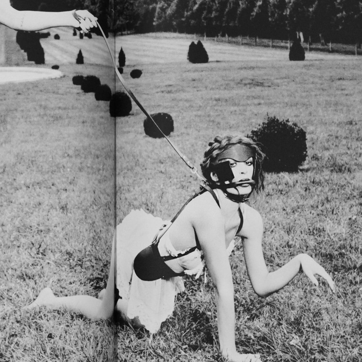 LEATHER LEAD | Restraint Accessories | Fleet Ilya