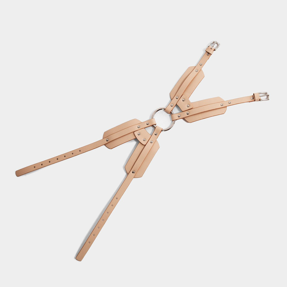 fleet ilya leg harness