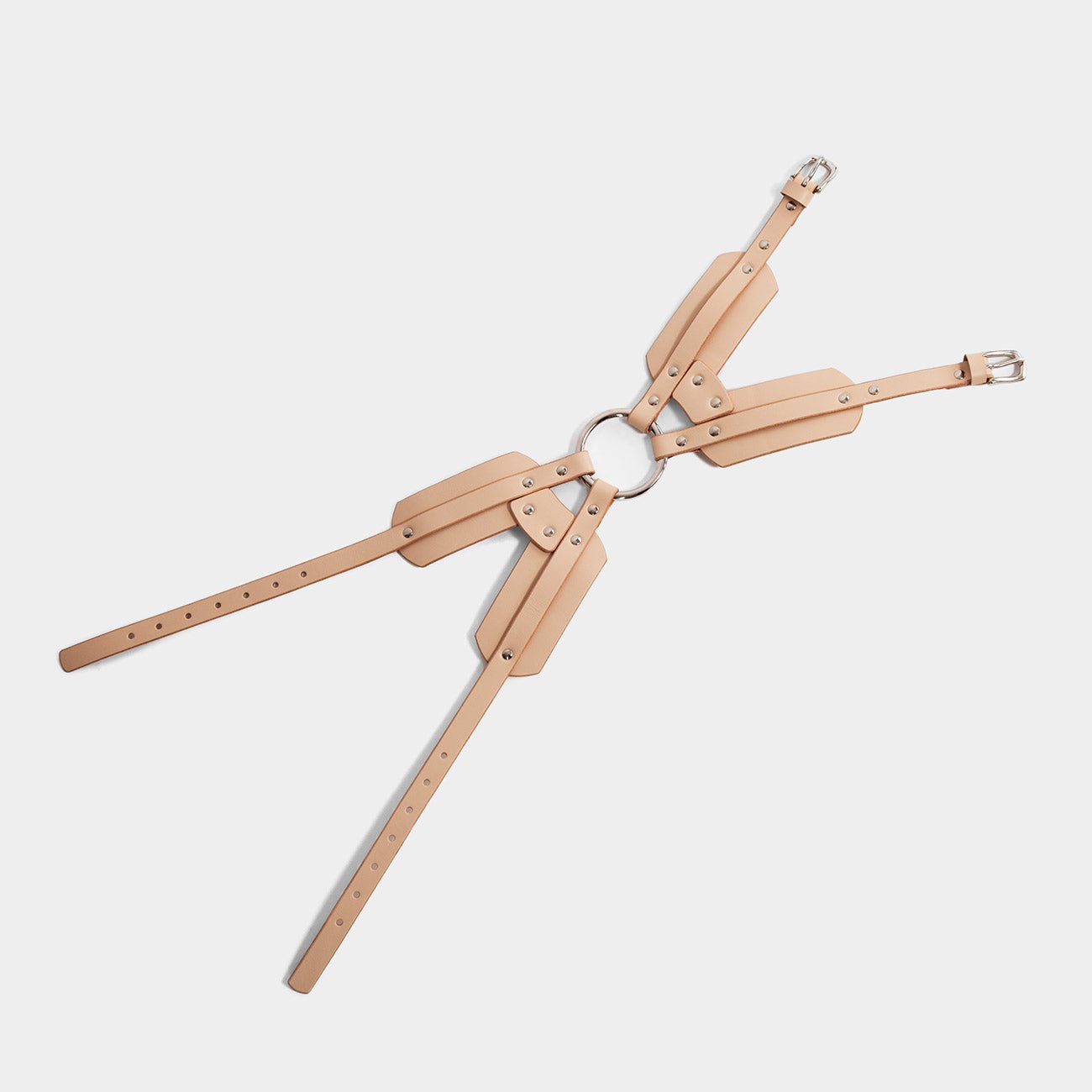 fleet ilya leg harness