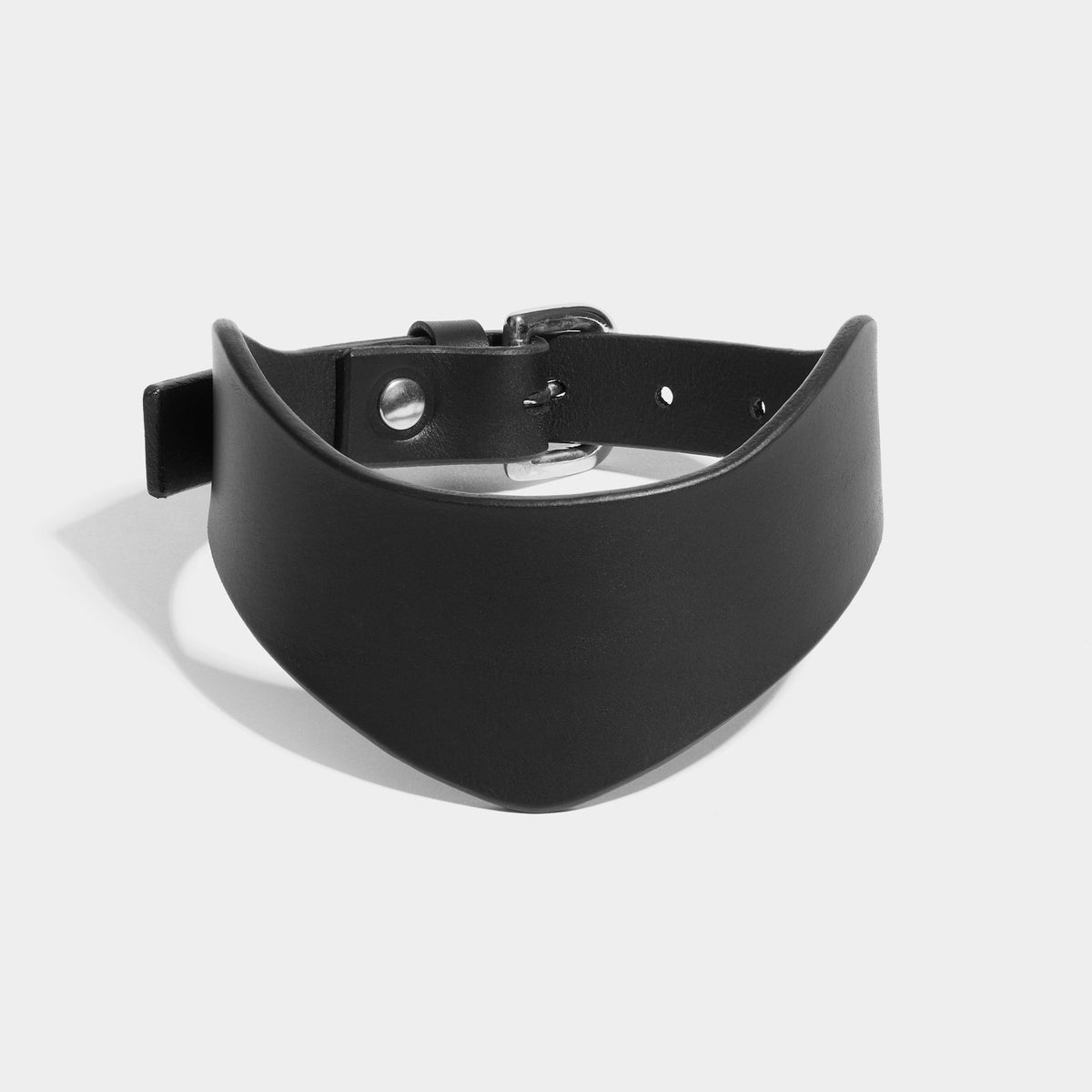 fleet ilya pointed collar