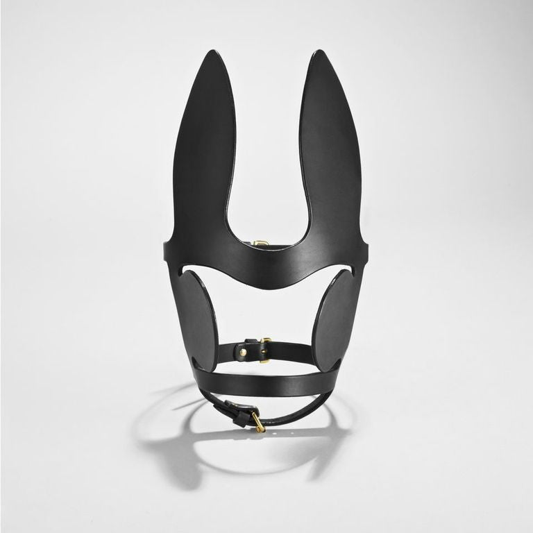 fleet ilya pony blinker mask