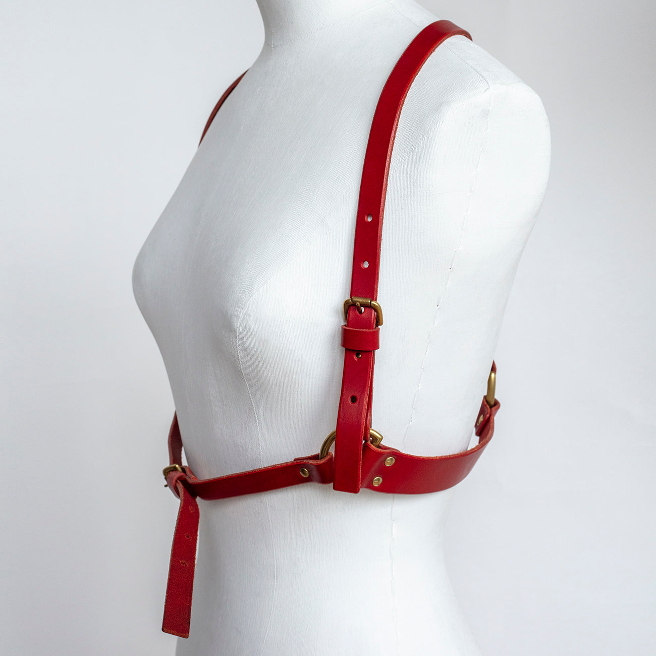 ARCHIVAL D RING HARNESS RED