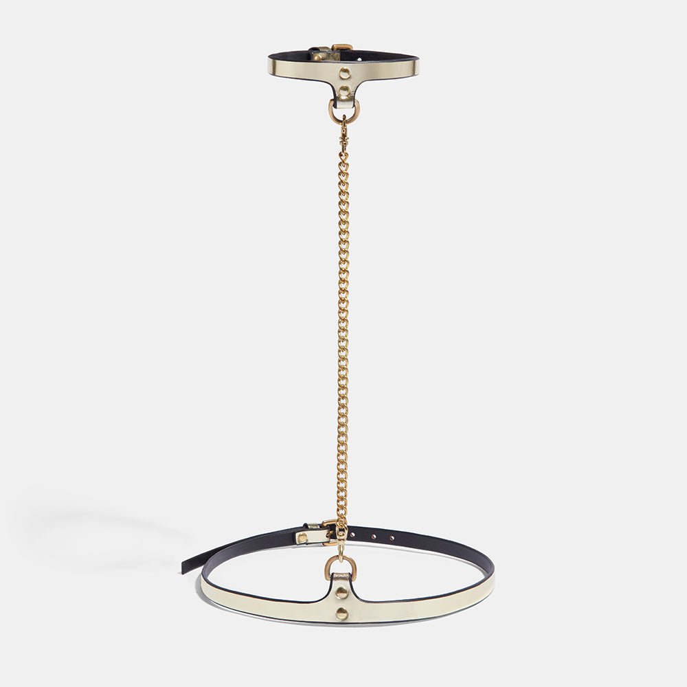fleet ilya slim chain collar &amp; belt gold