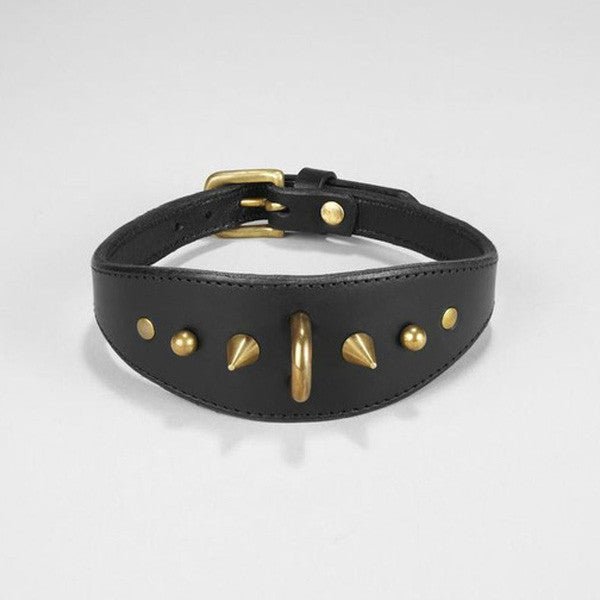 fleet ilya spike collar