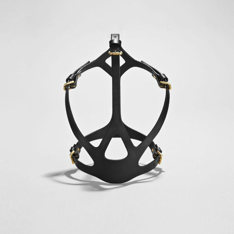 web mask fleet ilya